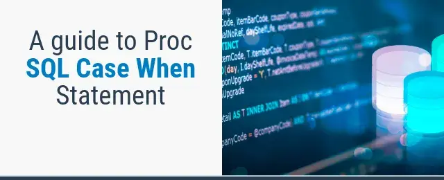 A guide to Proc SQL Case When Statement