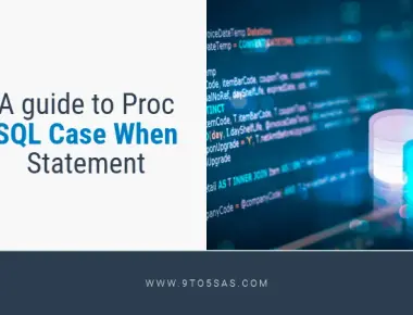 A guide to Proc SQL Case When Statement