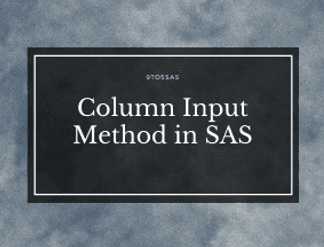 Column Input in SAS