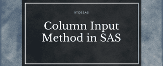 Column Input in SAS