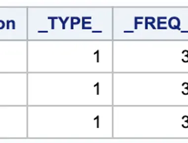 Unlock the Power of SAS Views