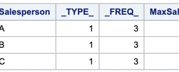 Unlock the Power of SAS Views