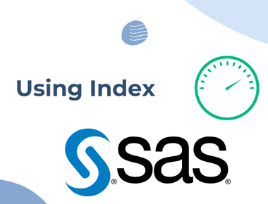 Using Index in SAS to speed up programs