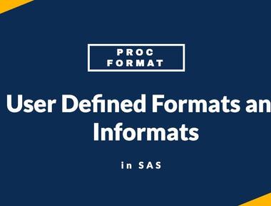 SAS formatting techniques -using Proc Format to create custom formats