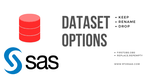Data set Options in SAS