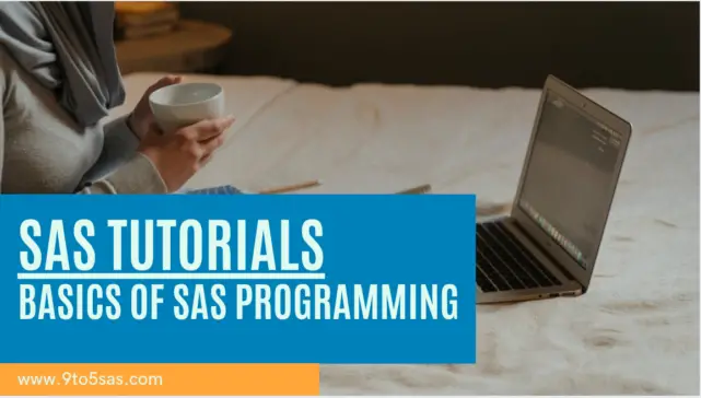 SAS Tutorials – Basics of SAS Programming