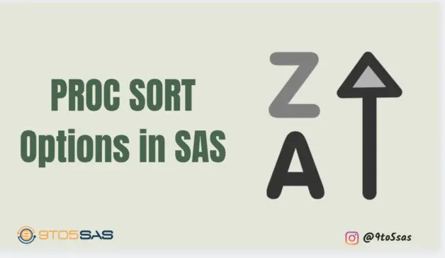 Proc Sort Options in SAS
