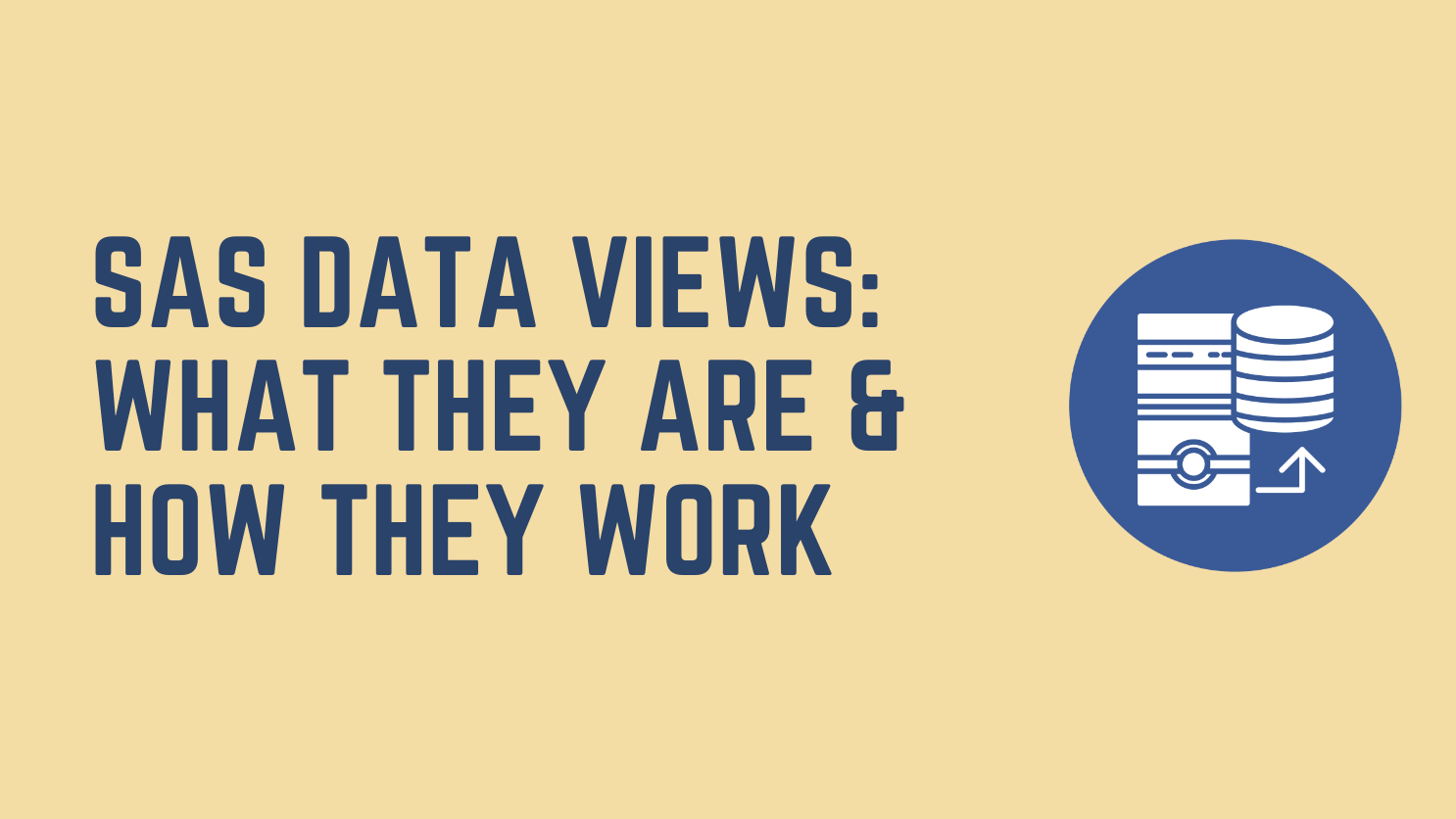 SAS Data Views: What They Are & How They Work
