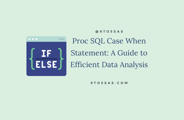 A guide to Proc SQL Case When Statement